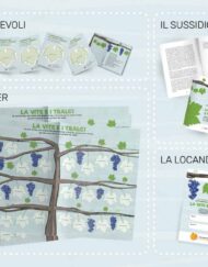 Kit "Noi aspettiamo i Santi - La vite e i tralci"