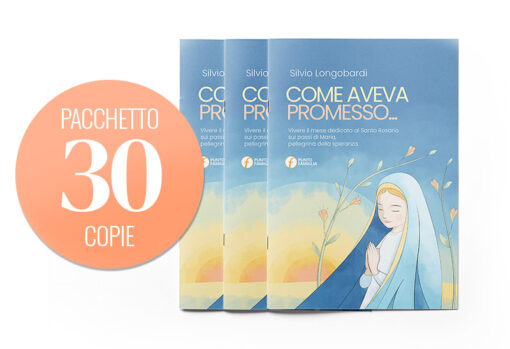Pacchetto che contiene 30 copie di "Come aveva promesso..."