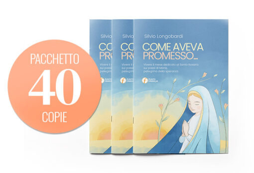 Pacchetto che contiene 40 copie di "Come aveva promesso..."